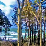 Sea & Z Widokiem Na Morze - Dwie Sosny Appartement