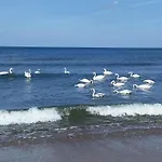 Appartement Sea & Z Widokiem Na Morze - Dwie Sosny *
