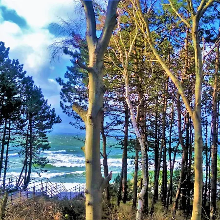 Sea & Z Widokiem Na Morze - Dwie Sosny Apartment