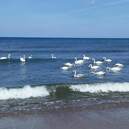 דירה Sea & Z Widokiem Na Morze - Dwie Sosny *